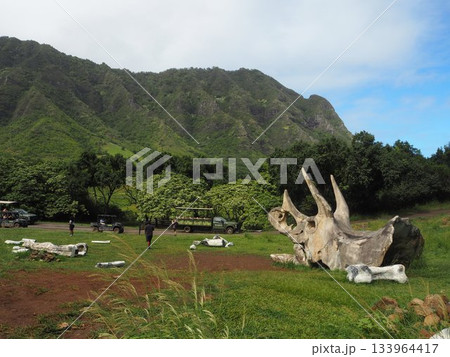 ハワイ・クアロアランチ　映画ロケ地として有名なカアアワ渓谷とコオラウ山脈の絶景 133964417