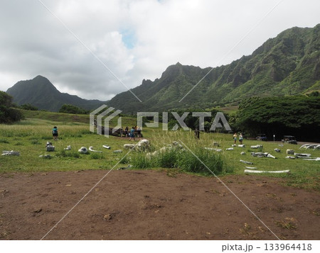 ハワイ・クアロアランチ　映画ロケ地として有名なカアアワ渓谷とコオラウ山脈の絶景 133964418
