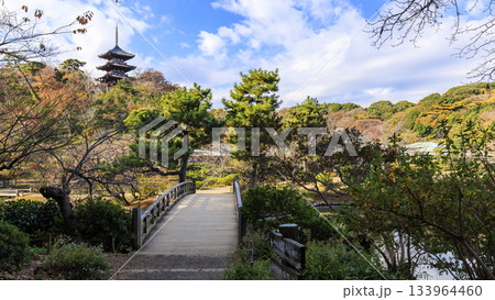 青空と紅葉の三渓園 青空と紅葉の三渓園 133964460