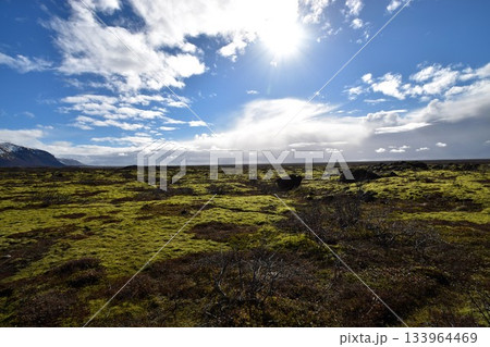 アイスランド・地平線まで続く苔に覆われた溶岩大地・エルドフロインの神秘的な風景 133964469