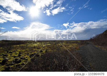 アイスランド・青空と太陽に照らされた苔むす溶岩原と砂利道・エルドフロインの広大な風景 133964470