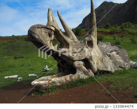 ハワイ・クアロアランチ　映画ロケ地として有名なカアアワ渓谷とコオラウ山脈の絶景 133964474