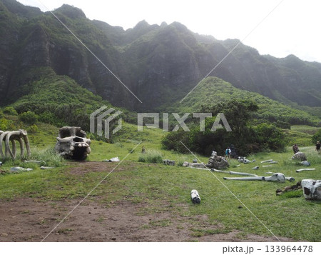 ハワイ・クアロアランチ　映画ロケ地として有名なカアアワ渓谷とコオラウ山脈の絶景 133964478