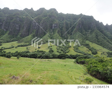 ハリウッド映画のロケ地：ハワイ・クアロア・ランチの雄大なカアアワ渓谷 133964574