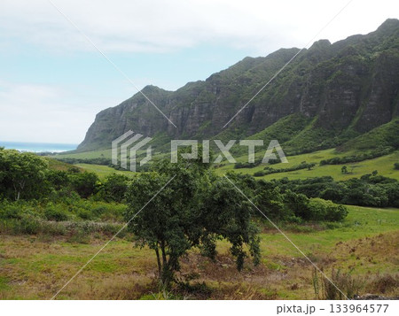 ハリウッド映画のロケ地：ハワイ・クアロア・ランチの雄大なカアアワ渓谷 133964577
