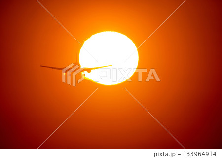 飛行機と夕陽 飛行機と夕陽 133964914