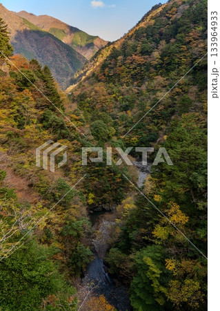 秋本番の寸又峡 秋本番の寸又峡 133964933