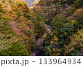 秋本番の寸又峡 133964934