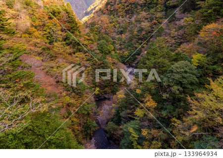 秋本番の寸又峡 秋本番の寸又峡 133964934