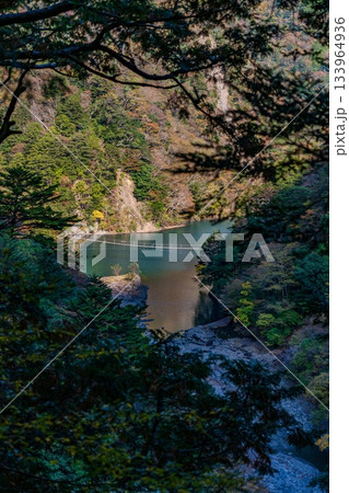 秋の寸又峡と夢の吊り橋 秋の寸又峡と夢の吊り橋 133964936