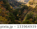 秋本番の寸又峡の飛竜橋 133964939