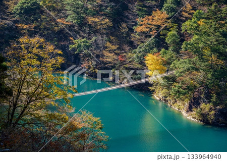 秋の寸又峡と夢の吊り橋 秋の寸又峡と夢の吊り橋 133964940