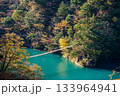 秋の寸又峡と夢の吊り橋 133964941