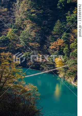 秋の寸又峡と夢の吊り橋 秋の寸又峡と夢の吊り橋 133964942