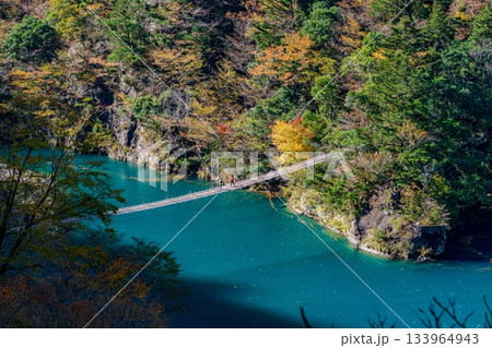 秋の寸又峡と夢の吊り橋 秋の寸又峡と夢の吊り橋 133964943