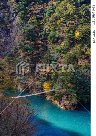 秋の寸又峡と夢の吊り橋 秋の寸又峡と夢の吊り橋 133964945
