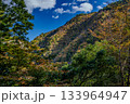 寸又峡の紅葉 133964947