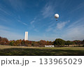 大阪府堺市大仙公園12月撮影 133965029