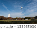大阪府堺市大仙公園12月撮影 133965030