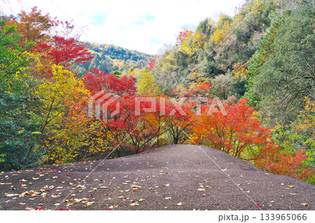 紅葉の鬼岩公園 紅葉の鬼岩公園 133965066