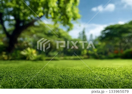 Beautiful blurred background image of spring nature with a neatly trimmed lawn surrounded by trees against a blue sky with clouds on a bright sunny day 133965079