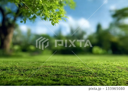 Beautiful blurred background image of spring nature with a neatly trimmed lawn surrounded by trees against a blue sky with clouds on a bright sunny day 133965080