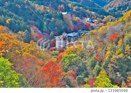 紅葉の鬼岩公園 133965098
