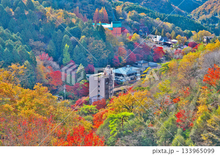 紅葉の鬼岩公園 133965099