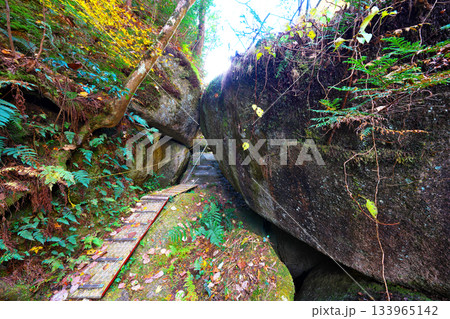 鬼岩公園の岩くぐり 鬼岩公園の岩くぐり 133965142