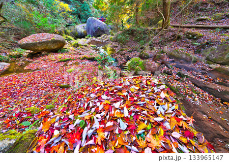 紅葉の鬼岩公園 133965147
