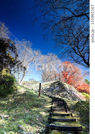 小原の四季桜 133965167