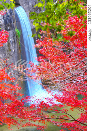 王滝渓谷の紅葉 133965204