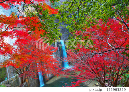 王滝渓谷の紅葉 王滝渓谷の紅葉 133965229