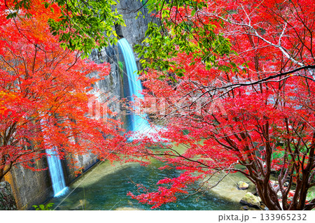 王滝渓谷の紅葉 王滝渓谷の紅葉 133965232