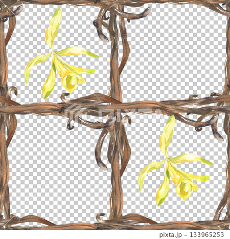 Vanilla sticks geometric watercolor seamless...のイラスト素材 [133965253] - PIXTA