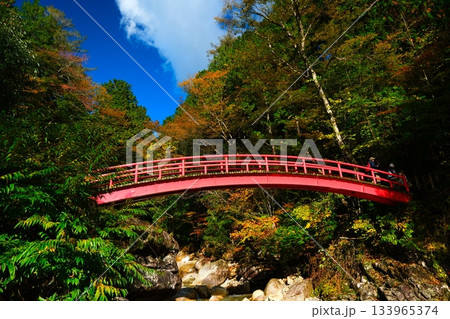 秋の夕森渓谷 竜神の滝 133965374