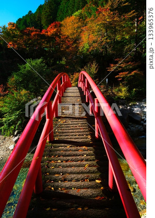 秋の夕森渓谷 竜神の滝 133965376