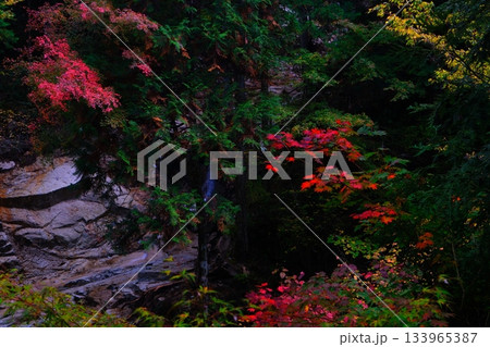 秋の夕森渓谷 竜神の滝 秋の夕森渓谷 竜神の滝 133965387