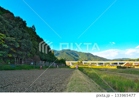 設楽原の馬防柵 設楽原の馬防柵 133965477