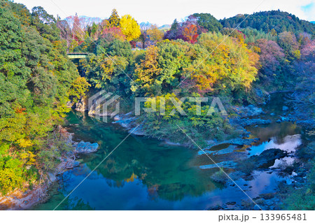 長篠城址 長篠城址 133965481