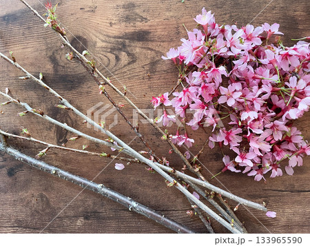 淡いピンク色のかオカメ桜の枝でサクラ染め 133965590