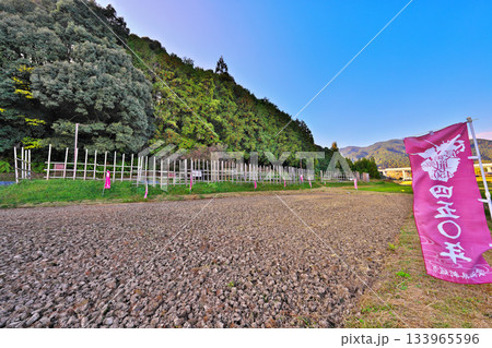 設楽原の馬防柵 133965596