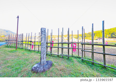 設楽原の馬防柵 133965597