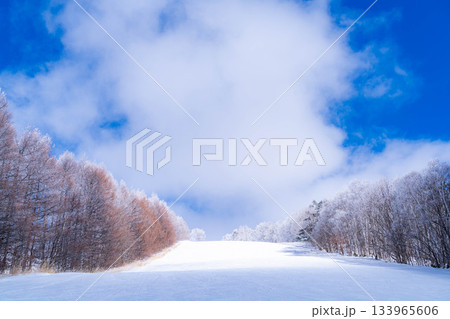 【ゲレンデ素材】白銀のゲレンデと青空【長野県】 133965606