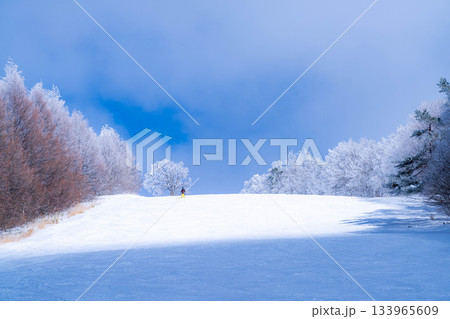 【ゲレンデ素材】白銀のゲレンデと青空【長野県】 133965609