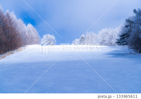 【ゲレンデ素材】白銀のゲレンデと青空【長野県】 【ゲレンデ素材】白銀のゲレンデと青空【長野県】 133965611