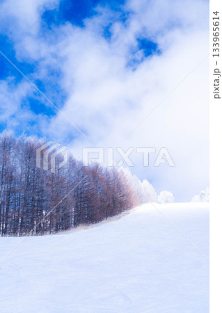 【ゲレンデ素材】白銀のゲレンデと青空【長野県】 133965614