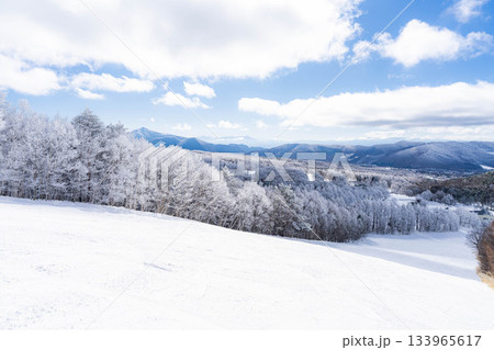 【ゲレンデ素材】白銀のゲレンデと青空【長野県】 133965617