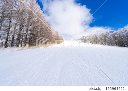【ゲレンデ素材】白銀のゲレンデと青空【長野県】 133965622