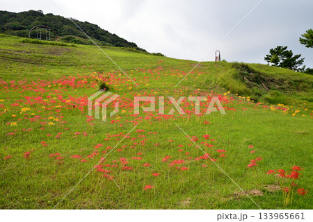 五島の旅・白良ヶ浜万葉公園　＃5 133965661